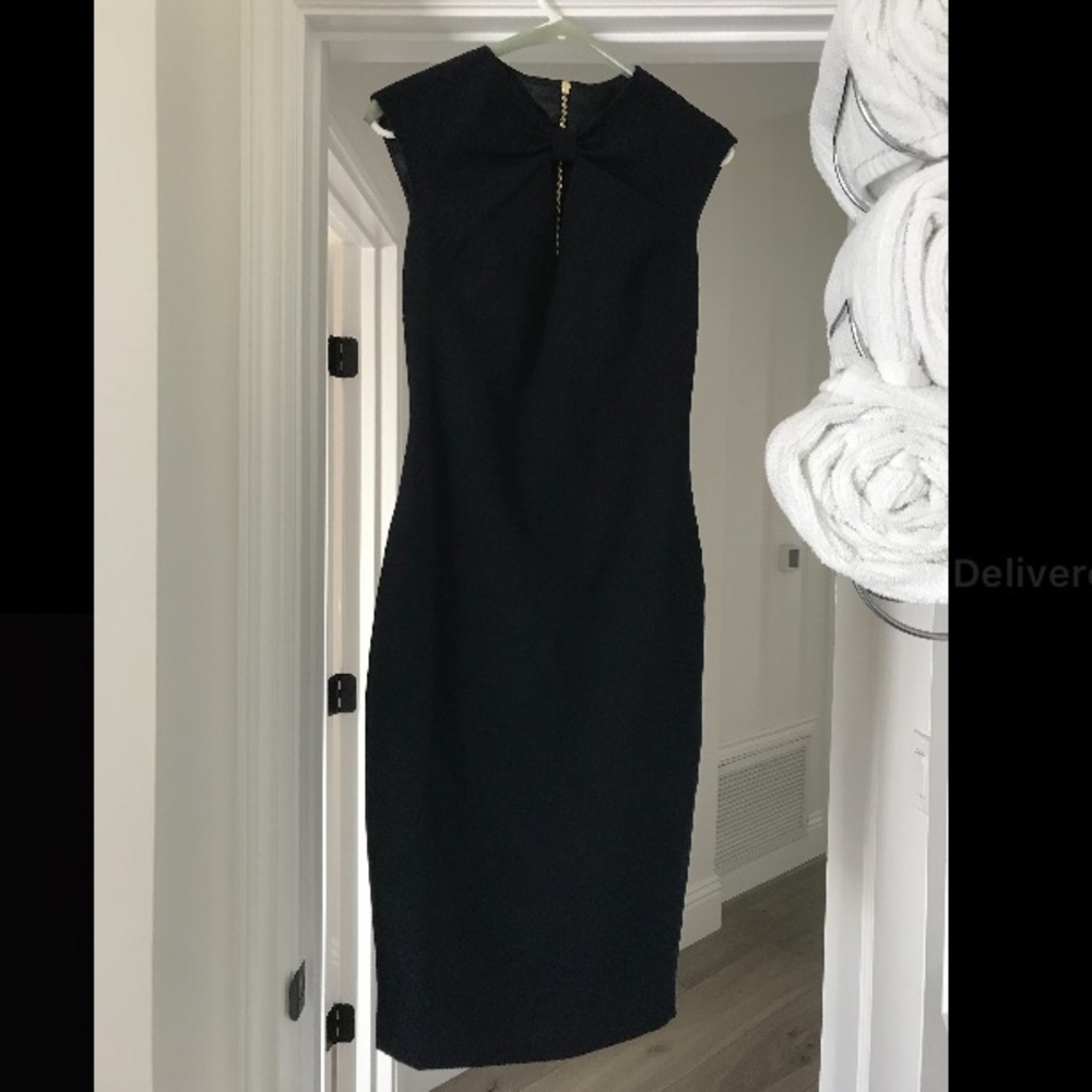 Navy Ted Baker Gold ZIP Up Back Dress